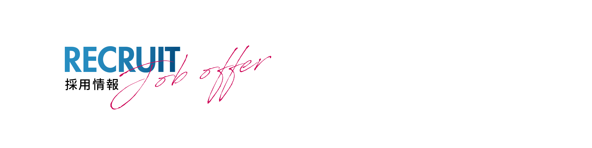 採用情報